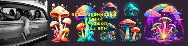 прущие крисы Бородино
