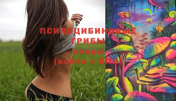 прущие крисы Бородино