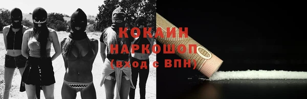 прущие крисы Бородино