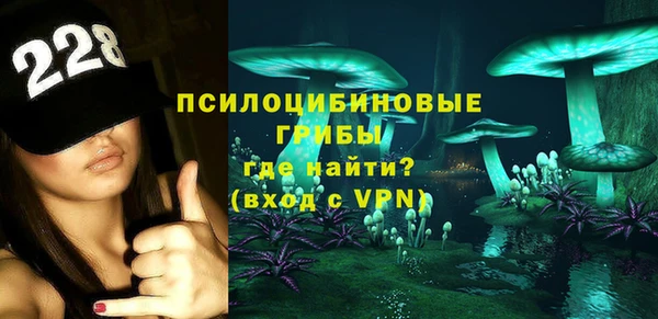 прущие крисы Бородино