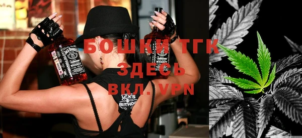 прущие крисы Бородино