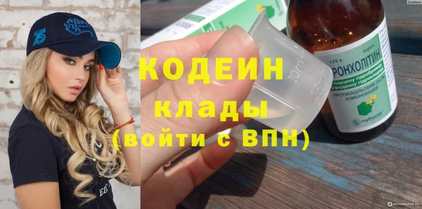 прущие крисы Бородино