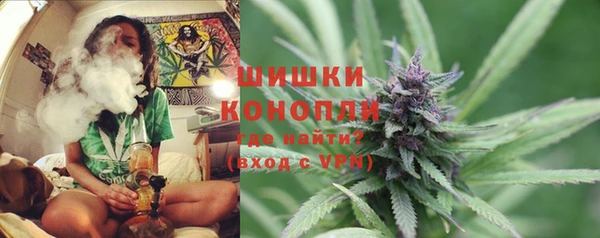 прущие крисы Бородино